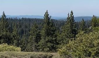 60 Liberty Rd, Arnold, CA 95223