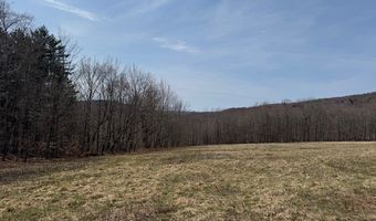 Lot 2 Doig Hollow Road, Andes, NY 13731