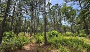 Fox Paw Court, Branchville, SC 29432