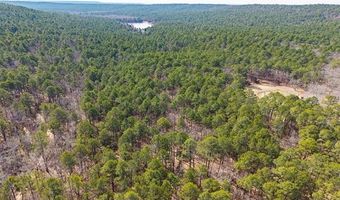 386 NE A, Antlers, OK 74523