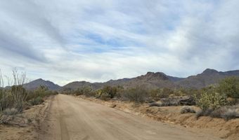 19688 S Diamondback Rd, Yucca, AZ 86438