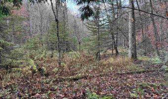 00 Ledge Hill Rd, Calais, VT 05648