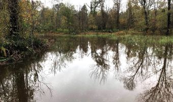 1071 LR 3, Ashdown, AR 71822