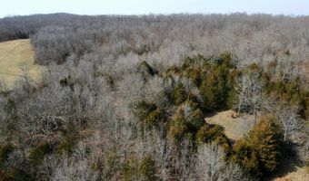 County Road 529, Ava, MO 65608