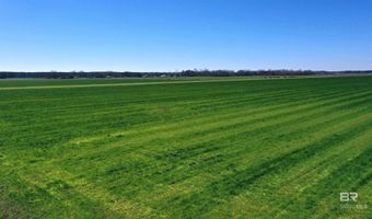 Lot 14 Davis Pond Road, Atmore, AL 36502