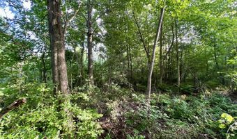 1143 38th St, Allegan, MI 49010