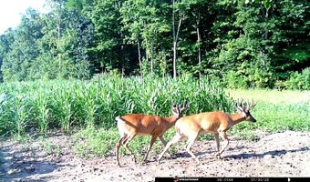 6305 W US Highway 223, Adrian, MI 49221