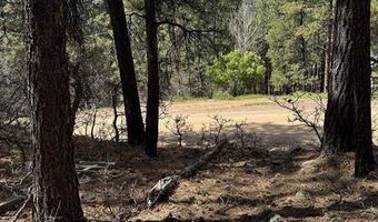 216 Fawn Dr, Bayfield, CO 81122