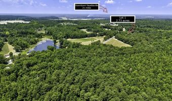 Ruth Vinson Road lot 1, Autryville, NC 28318