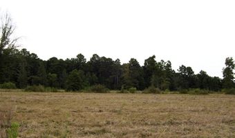 1665 Peyton Ave, Ashdown, AR 71822
