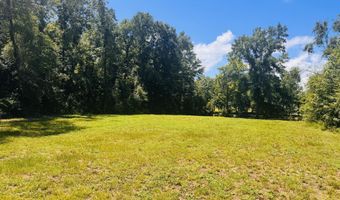 1042 Lake Cadeli Rd, Bartow, GA 30413