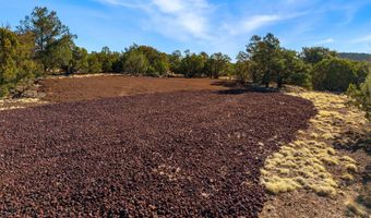 10 CR N8623, Concho, AZ 85924