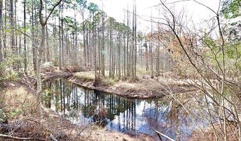 123 Westover Dr, Adel, GA 31620