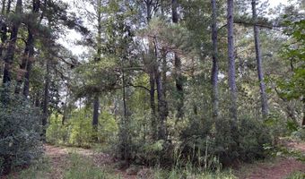 0 Providence Cir, Awendaw, SC 29429