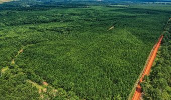 Harry Priddy Road, Americus, GA 31719