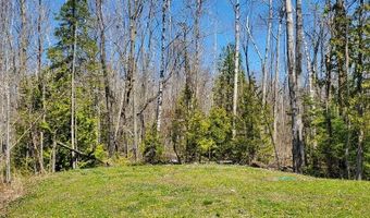2738 Lakewood Dr, Alpena, MI 49707