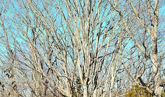 5106 Pine Grove Rd, Ballard, WV 24918
