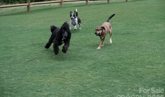 141 Greenridge Rd, Clover, SC 29710