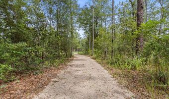 5829 NW 11th Ave, Bell, FL 32619