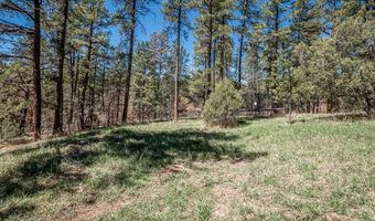 4962 N Creek Rd, Beulah, CO 81023