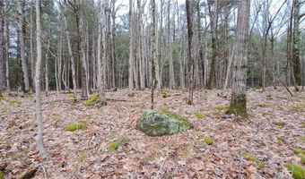 Sweet Point Rd, Alexandria Bay, NY 13607