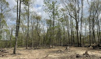 State Hwy N Tract G, Ava, MO 65608
