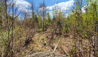 Cone Road lot # 2, Amity, ME 04471