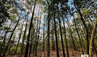 002 Phillipsville Rd, Bay Minette, AL 36507
