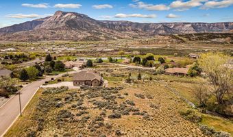 19 Roan Creek Dr, Battlement Mesa, CO 81635