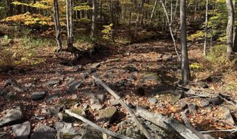 Rand Hill Road, Altona, NY 12910