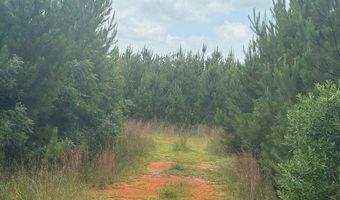 0 Salco Rd, Axis, AL 36505