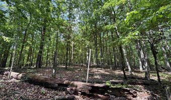 COLVIN SPRINGS ROAD 6, Ashville, AL 35953