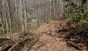 Gentry Farm Road, Aurora, NC 28743