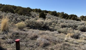Andy's Way, Elko, NV 89801