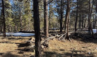 Golden Eagle Drive 30, Bonanza, OR 97623