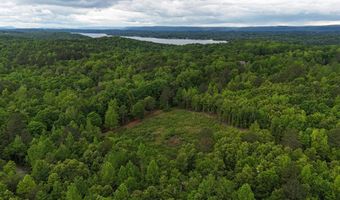 6020 Eaglewood Ln, Birchwood, TN 37308