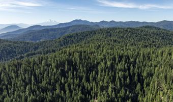 Hungry Ridge, Ashland, OR 97520