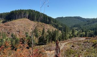 Van Horn 140 Rd, Alsea, OR 97324