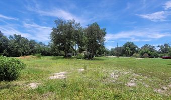 2298 SW LOIS Ave, Arcadia, FL 34266