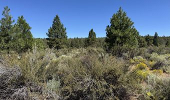 Bufflehead Drive 18, Bonanza, OR 97623