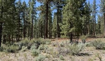 205 Haskell Mill Ct Lot 205, Carson City, NV 89705