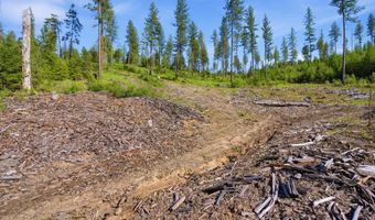 NNA Stone Rd Lot 5 20.0 Acres, Blanchard, ID 83804