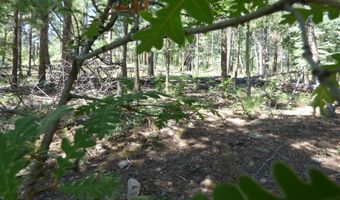 9 County Road 2073, Alpine, AZ 85920