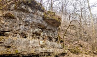 County Road 19-A, Alton, MO 65606