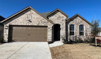 317 Tartane Dr, Anna, TX 75409