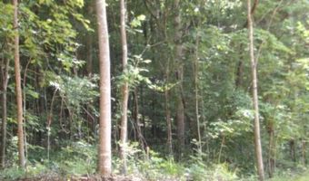 8 63ac Gravely Hill Rd, Bethpage, TN 37022