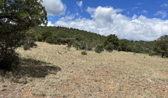 415 XYZ, Arenas Valley, NM 88022