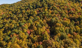 99999 Harwood Rd, Barnardsville, NC 28709