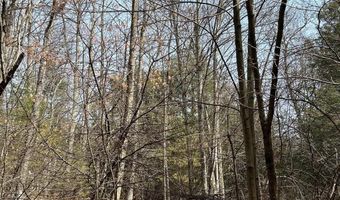 385 ELK CREEK Rd, Aaronsburg, PA 16820