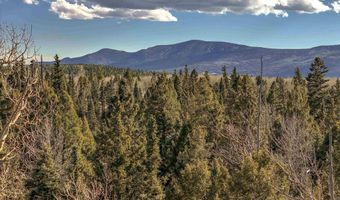 1004 And 1005 El Camino Real, Angel Fire, NM 87710